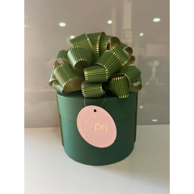 Box Personalizado P - Verde